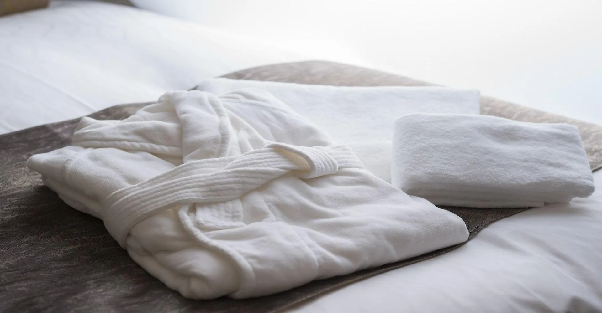 Hotel Alza Kyoto